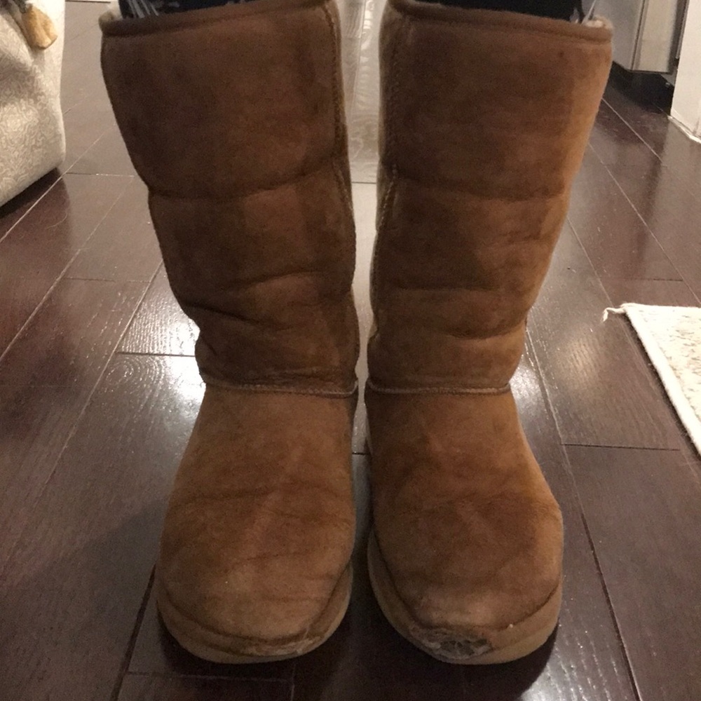 Tall Chestnut Uggs